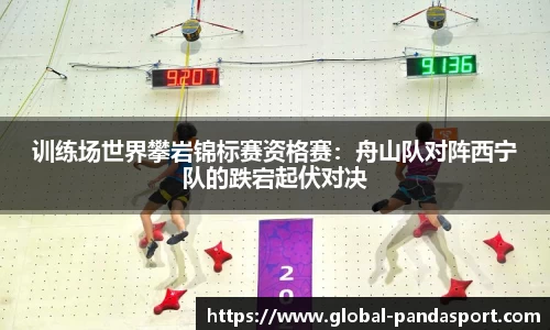 熊猫体育平台