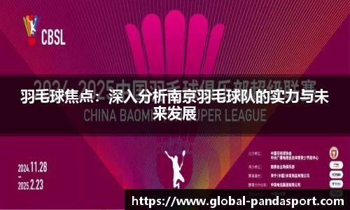 羽毛球焦点：深入分析南京羽毛球队的实力与未来发展